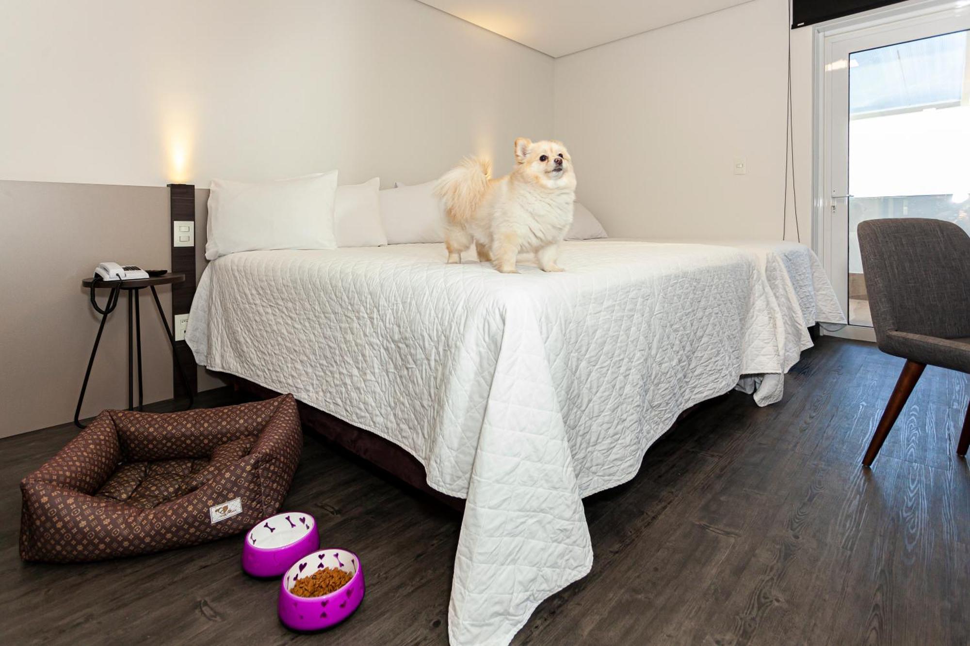 Travel Inn Hotels Caxias Do Sul Dış mekan fotoğraf